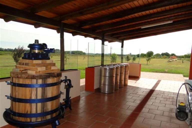 Da Colonia: &quot;De Copas Tour&quot;-Bodega El Legado e Pueblo Tannat a Carmelo