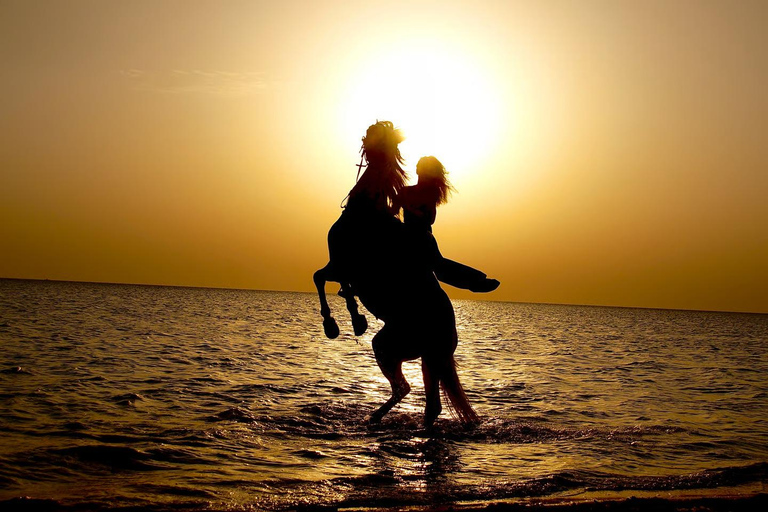 Baía de Makadi: Passeio a cavalo no deserto e no mar com guia + transferênciasBaía de Makadi: Passeio a cavalo no deserto e no mar com guia + transporte