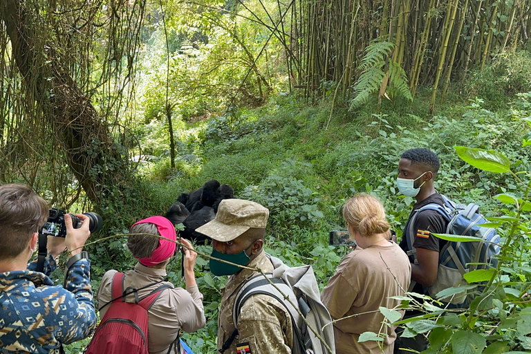 Passeio de 3 dias ao Gorila Mgahinga Gorilla NP Uganda via Ruanda