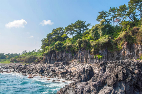 Jeju: UNESCO South & East Highlights 2 Days Combo Tour