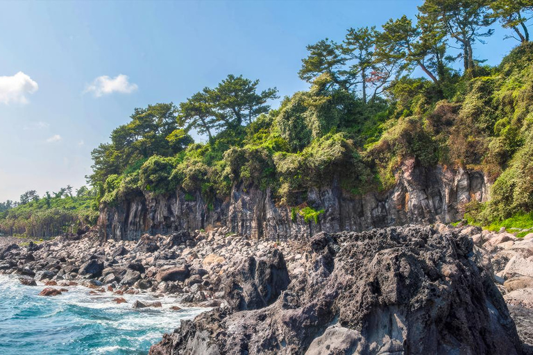 Jeju: UNESCO South & East Highlights 2 Days Combo Tour
