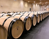 Burdeos, ST-Emilion Vineyards Tour de bicicleta electrónica con vino y almuerzo - Housity