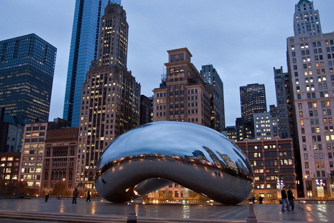 Chicago: Chicago Private City Tour 4 Hours Private City Tour