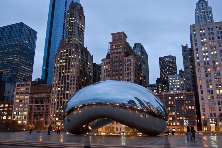 Chicago: Chicago Private City Tour 4 Hours Private City Tour
