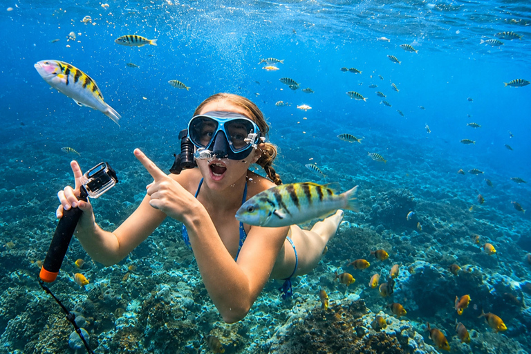 Lovina: Dolphin Observe & Snorkeling with Optional GoPro Sharing Dolphin Tour With GoPro, Transfer Hotel North Area