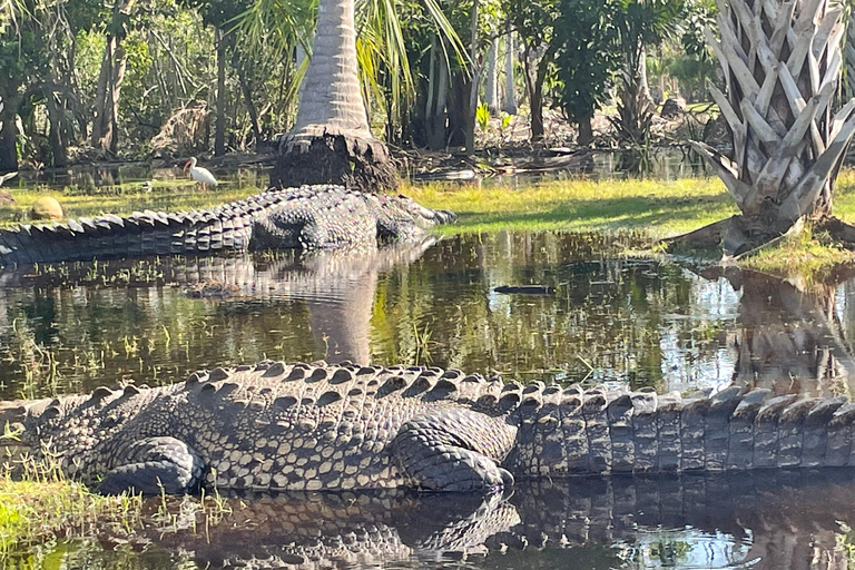 Desde Huatulco: Excursión Ecológica Cocodrilos y TortugasServicio Privado en Vehículo Avanza