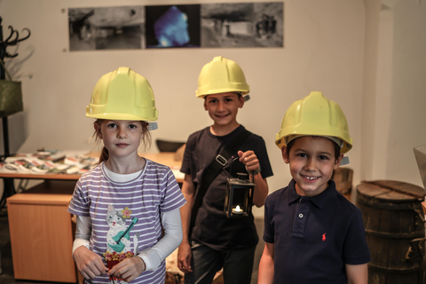 Hall in Tirol: Guided Tour of the Mining Museum Hall in Tyrol: Guided Tour of the Mining Museum