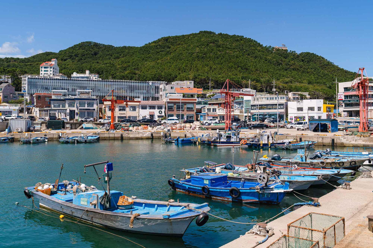 Small-Group Busan City Tour with Optional Sky Capsule Sky Capsule Excluded