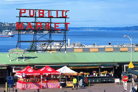 Seattle Downtown 1-Day Tour|Lunch Included
