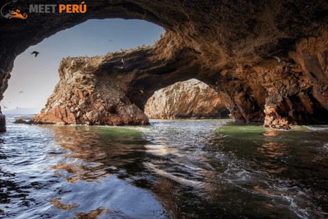 巴列斯塔斯群岛和帕拉卡斯保护区迷你越野车探险之旅巴列斯塔斯群岛与帕拉卡斯自然保护区迷你越野车探险之旅