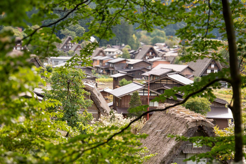Kanazawa: Shirakawa-go privé-dagtour met lunch