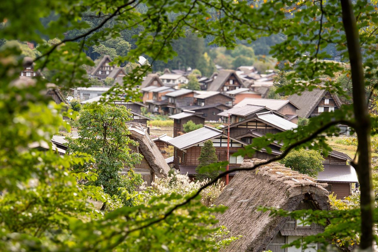 Kanazawa: Shirakawa-go privé-dagtour met lunch