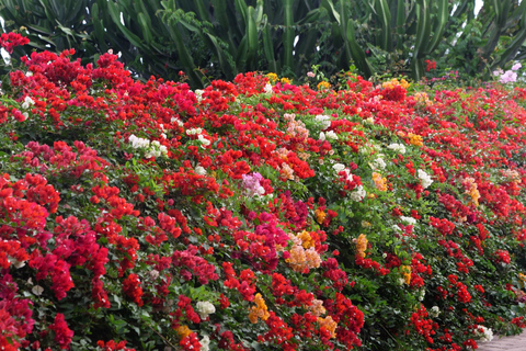 Lima: Skip-the-line Larco Museum Private Tour and Tickets 2-hour: Larco Museum Daytime Tour