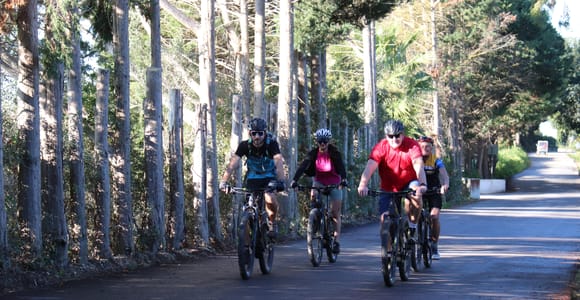 Tavira: Ria Formosa Salt Pans & Countryside E-Bike Tour