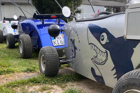 Hot Rod Tour near Frankfurt in the Taunus: A 120-Minute Experience at Speeds of Up to 55 MPH Hot Rod Tour near Frankfurt in the Taunus: 120 min experience with up to 88 km/h