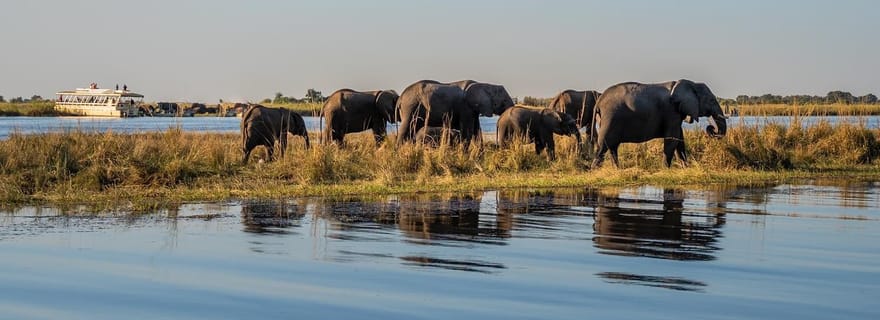 3 jours pour découvrir la Zambie, le Zimbabwe et le parc de Chobe au Botswana