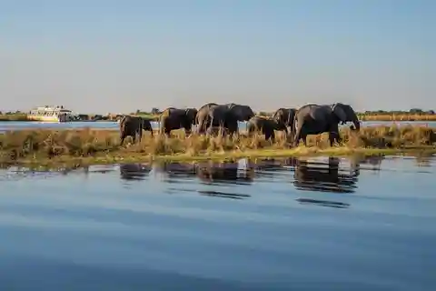 3 jours pour découvrir la Zambie, le Zimbabwe et le parc de Chobe au Botswana