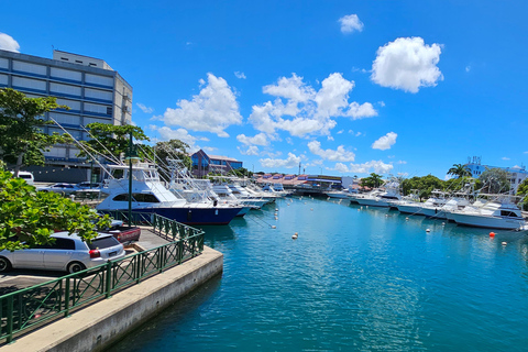 Barbados: Tour privato guidato e panoramico