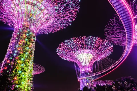 Singapore Gardens by the Bay with Entry Ticket and Pick up
