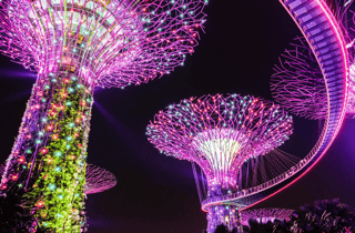 Singapore Gardens by the Bay mit Eintrittskarte und Abholung