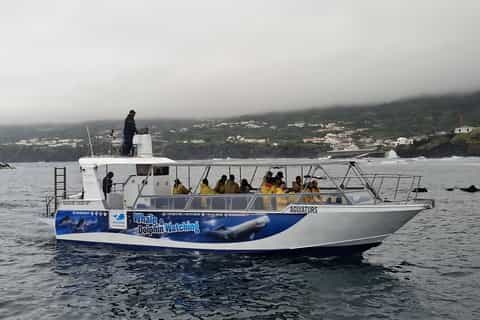 The best Pico Island Outdoor activities 2026 - Free cancellation