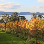 From Hobart: Coal River Valley Curated Winery Discovery