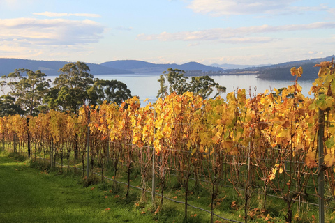 From Hobart: Coal River Valley Curated Winery Discovery From Hobart: Coal River Valley Private Wine Tour - 3 People