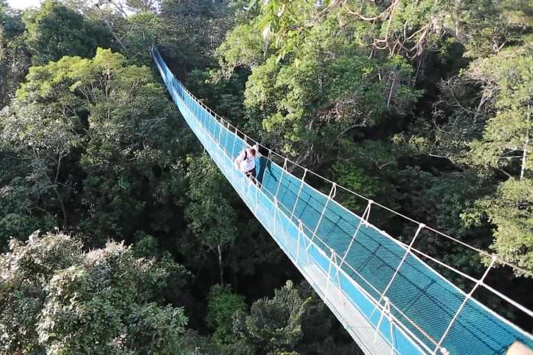 Da Iquitos: Avventura estrema+ Ponte sospeso + baldacchino