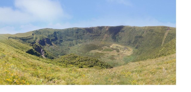 Visit Half Day Faial Island Tour, Local Biologist Guide in Horta, Faial, Azores, Portugal