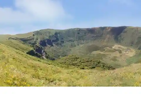 Excursão de meio dia à ilha do Faial