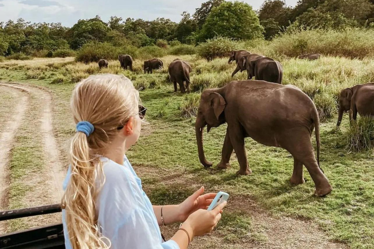Ella to Udawalawe Transfer With Wild Safari Adventure
