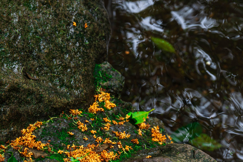 Hangzhou Autumn Exclusive: Manlong Guiyu Hiking Trail