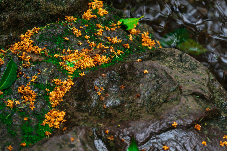 Hangzhou Autumn Exclusive: Manlong Guiyu Hiking Trail