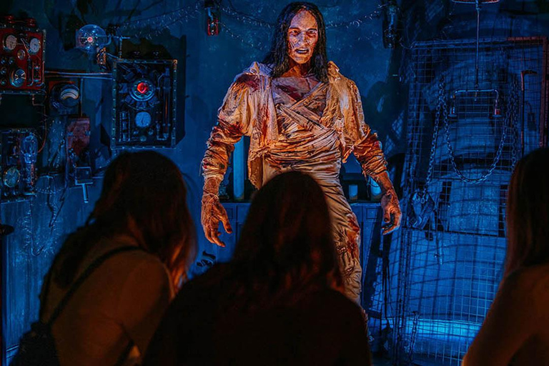 Bath: Frankenstein Walking Tour & Museum Entry Ticket