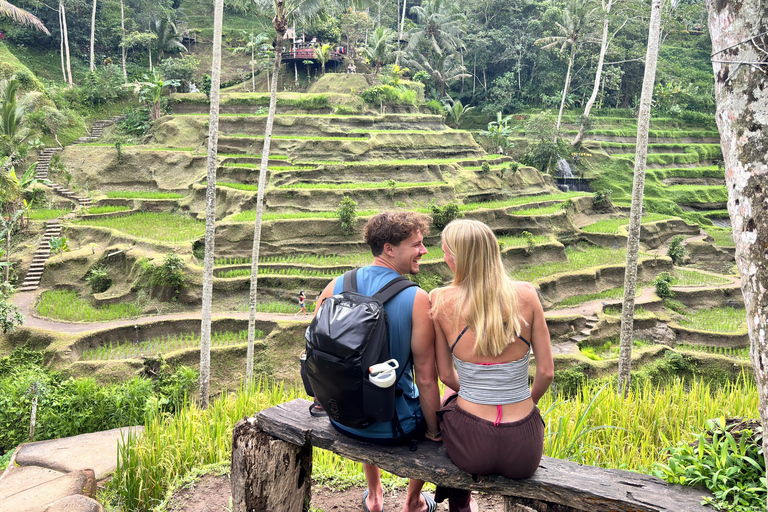 Bali: Private Ubud Highlights Tour with Customized Tour Temple, Monkey Forest, Waterfalls, & More (Without Tickets)