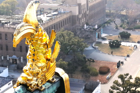 Osaka Castle & Shitennoji Temple with Ramen lunch