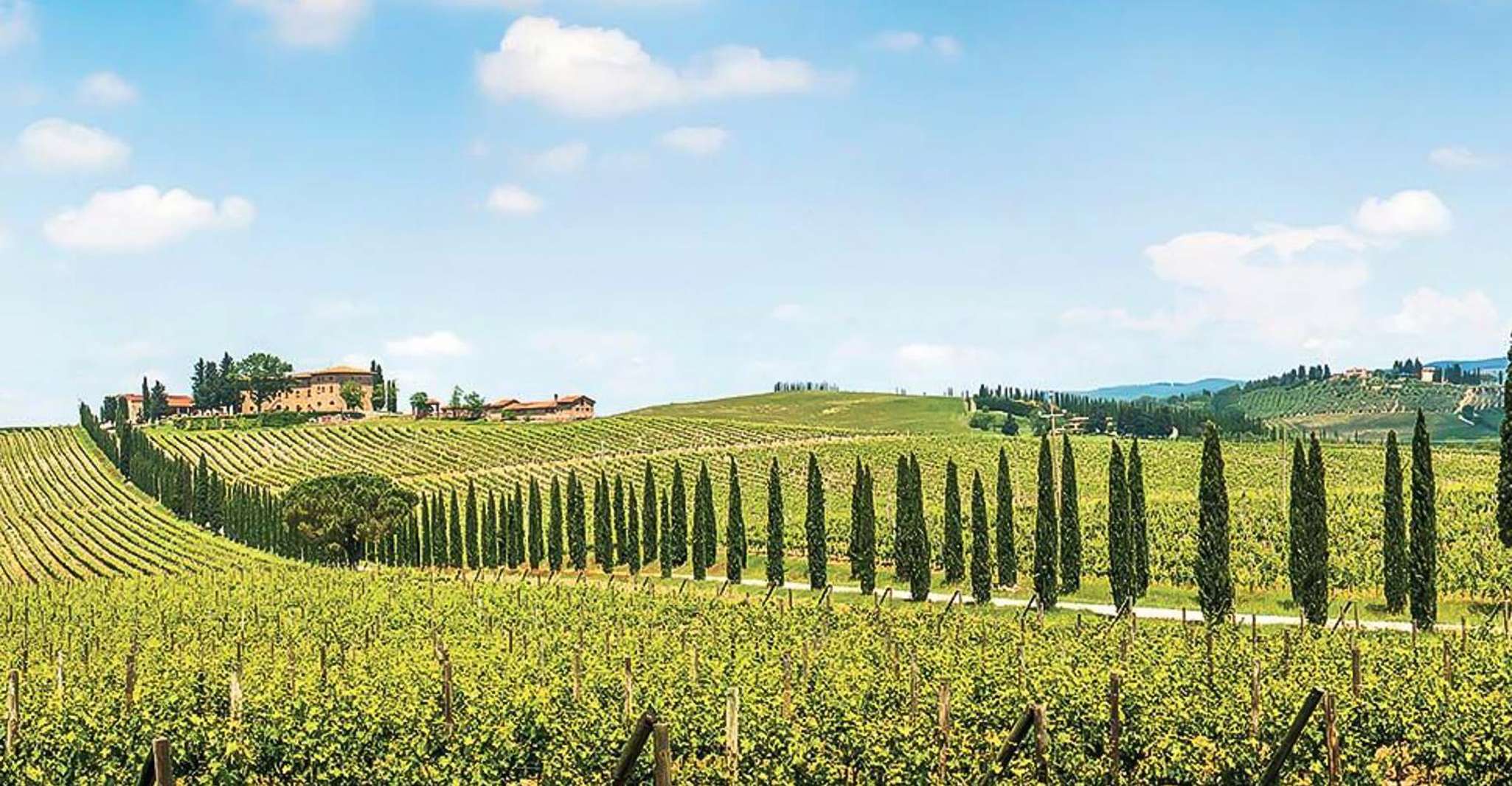 Desde San Gimignano, Chianti por E-Bike con cata de vinos - Hizvo