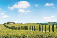 De San Gimignano, Chianti par E-Bike avec dégustation de vin - Hizvo