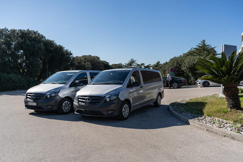 Dubrovnik: Ston and Pelješac Peninsula Wine Tour