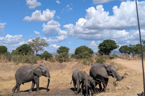 SAFARI ANIMALIER DE ZANZIBAR À MIKUMI 3 JOURS ET 2 NUITS