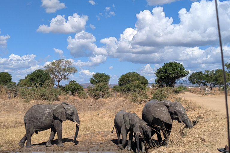 SAFARI ANIMALIER DE ZANZIBAR À MIKUMI 3 JOURS ET 2 NUITS