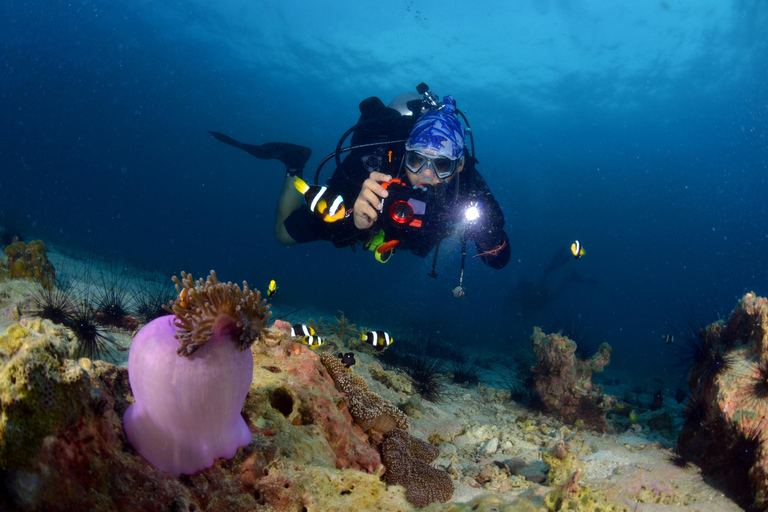 Pattaya: Fun Dive 2 Ocean Dives and Lunch (Certified Diver)