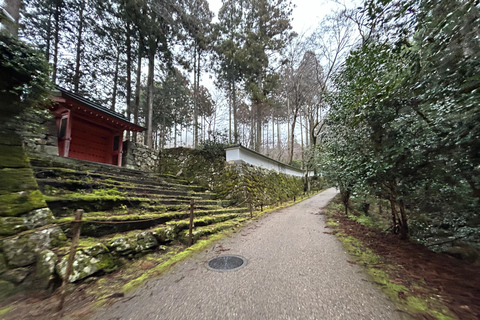 Tour privato in auto di Kyoto con guida locale e giapponese