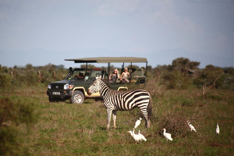 Nairobi:Amboseli National Park Overnight Safari 1 Game Drive