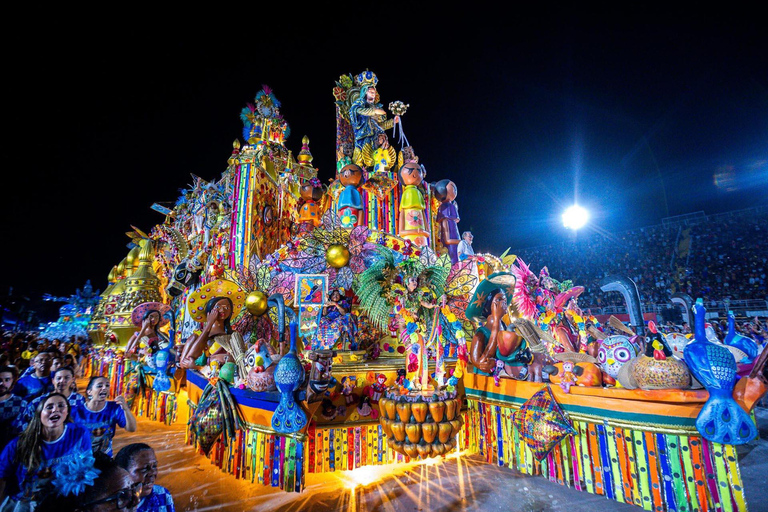 Costume personnalisé pour le carnaval de Rio avec transfert aller-retourCostume personnalisé pour le carnaval de Rio avec transfert aller-retour inclus