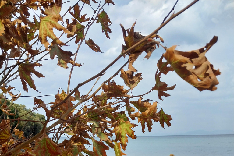 Kusadası: Countryside Tour with Lunch and Drinks