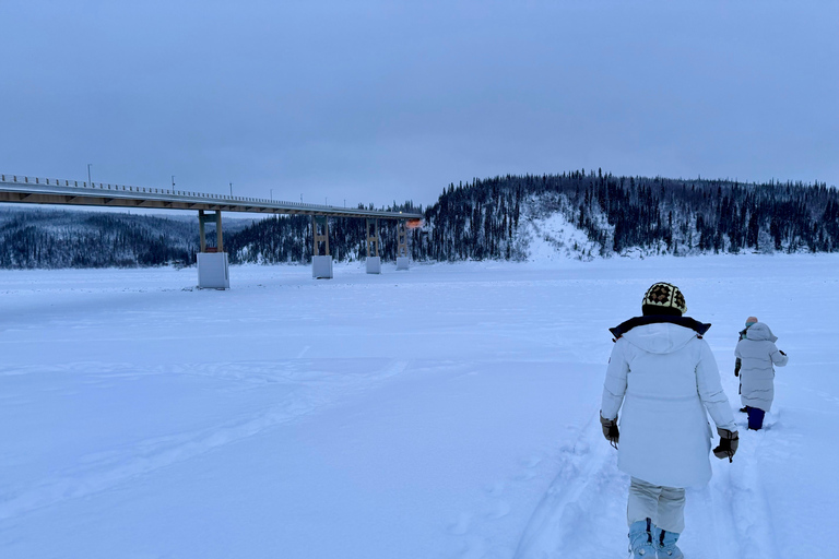 Arctic Circle & Northern Lights - Dalton Highway Winter Tour