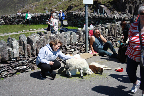 Killarney: Ring of Kerry Bus Tour