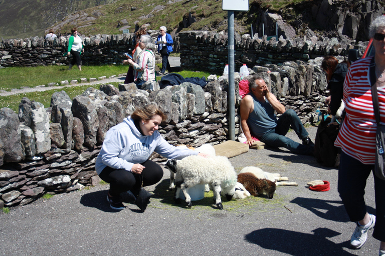Killarney: Ring of Kerry Bus Tour