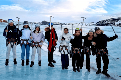 De Reykjavik: excursão de 6 dias para pequenos grupos na Islândia no verão